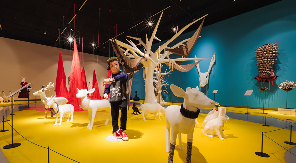 Gebreide zoon in tentoonstelling