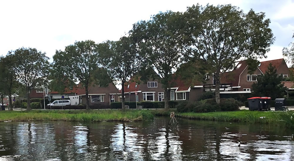 Grou Pikmeer 2