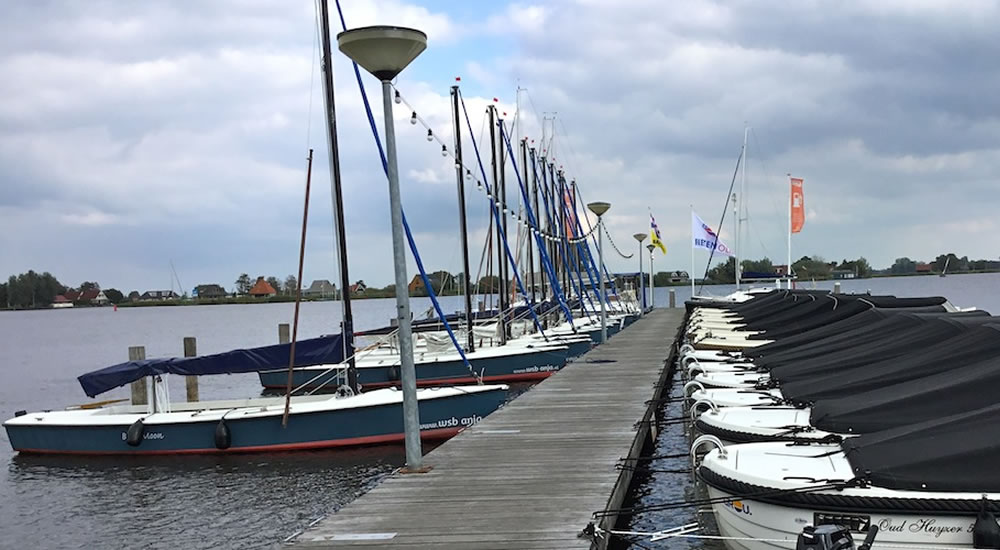 Grou - Pikmeer