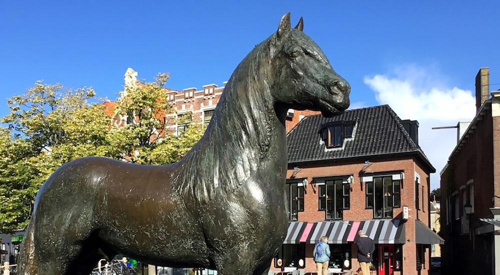 Nieuwestad Paard