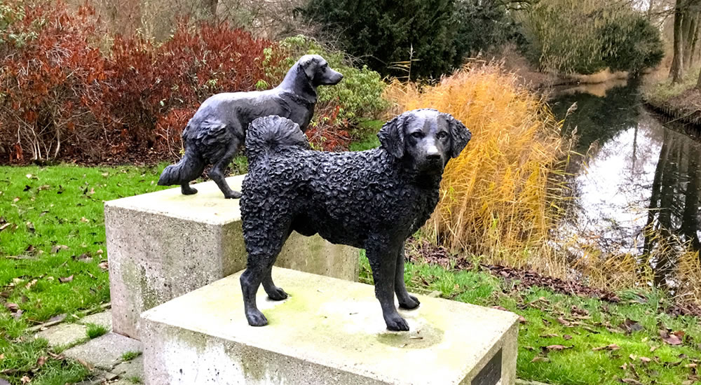 Leeuwarden - Rengerspark - Honden- standbeeld
