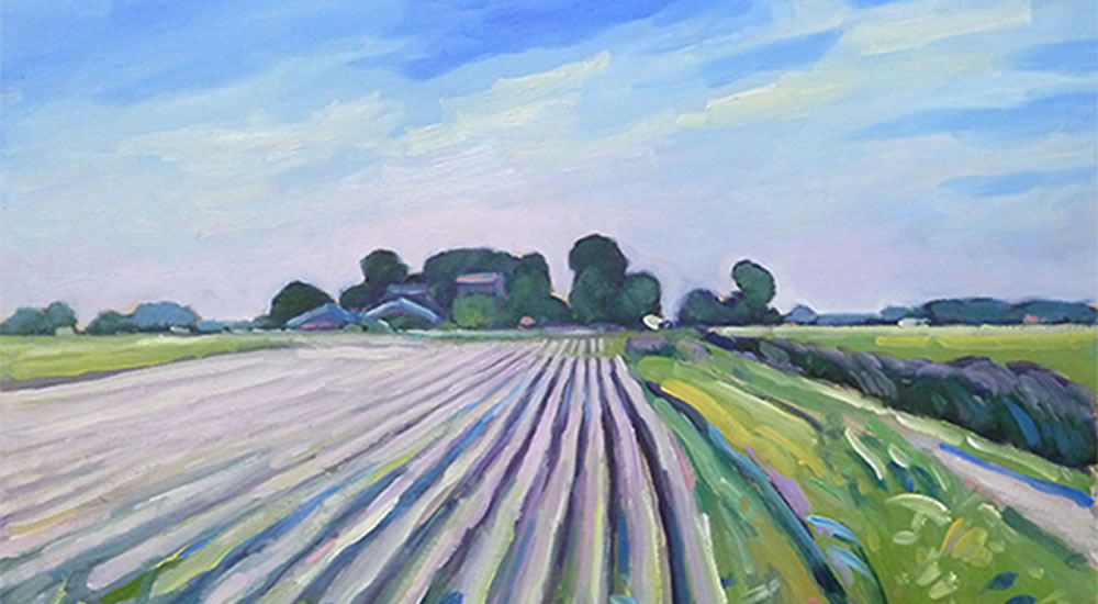Landschap