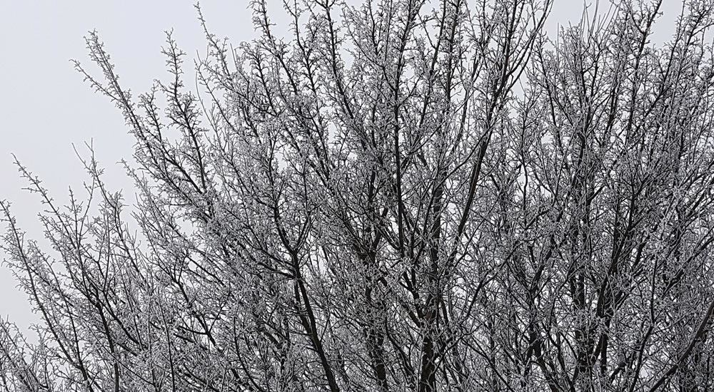 Winterweer